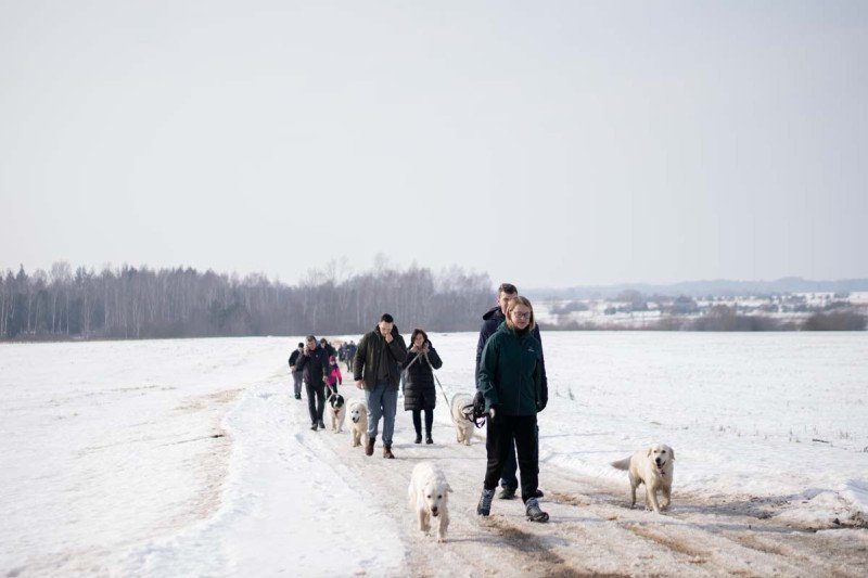 10 kilometrų pavasario: ištvermės iššūkis už baseino ribų