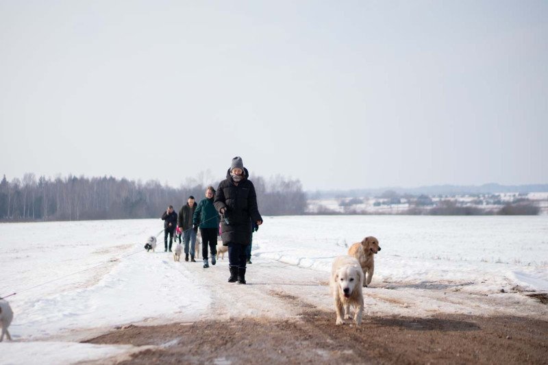 10 kilometrų pavasario: ištvermės iššūkis už baseino ribų