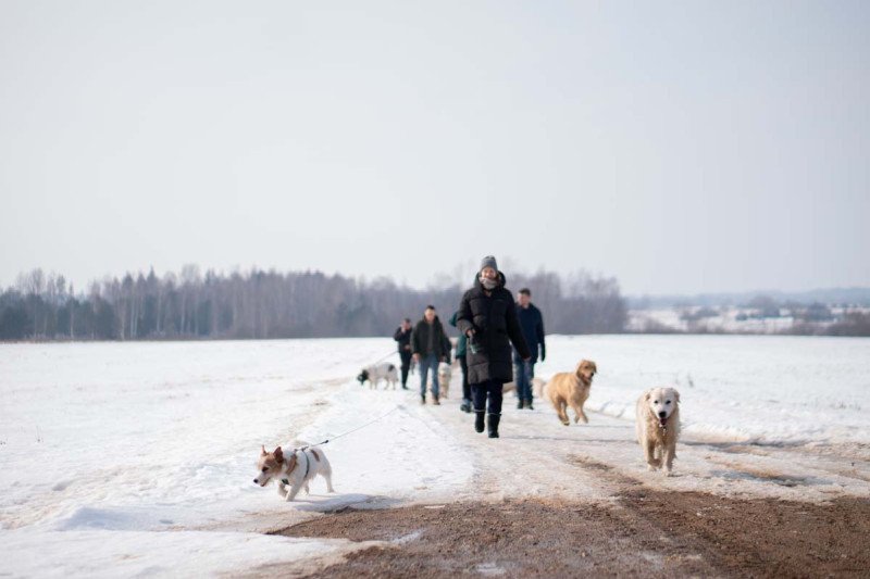 10 kilometrų pavasario: ištvermės iššūkis už baseino ribų