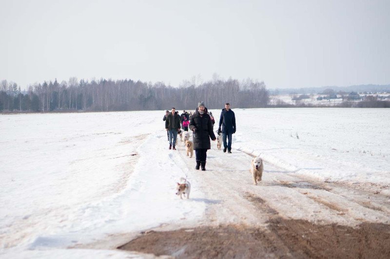 10 kilometrų pavasario: ištvermės iššūkis už baseino ribų