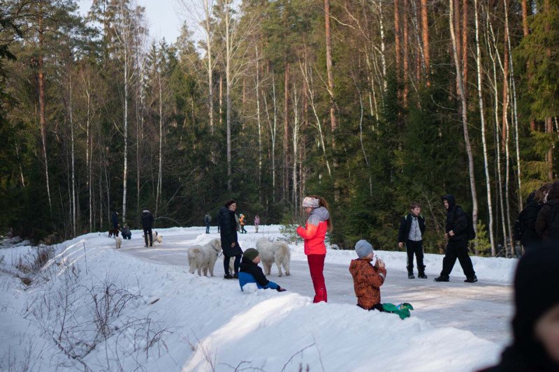 10 kilometrų pavasario: ištvermės iššūkis už baseino ribų