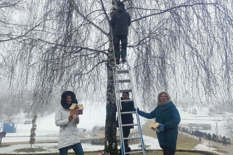 Jonavos baseino kalėdinės instaliacijos dekoracijos virto namais paukščiams