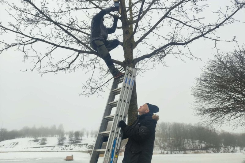 Jonavos baseino kalėdinės instaliacijos dekoracijos virto namais paukščiams