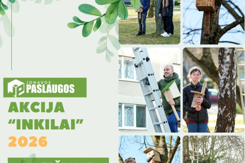 Jonavos baseino kalėdinės instaliacijos dekoracijos virto namais paukščiams