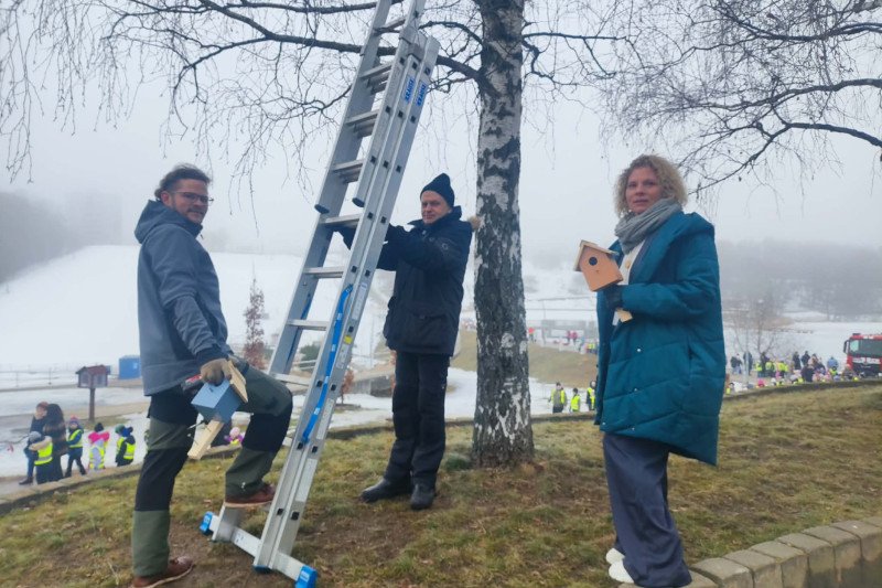 Jonavos baseino kalėdinės instaliacijos dekoracijos virto namais paukščiams