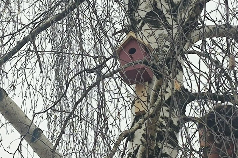 Jonavos baseino kalėdinės instaliacijos dekoracijos virto namais paukščiams