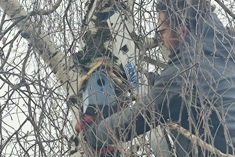 Jonavos baseino kalėdinės instaliacijos dekoracijos virto namais paukščiams