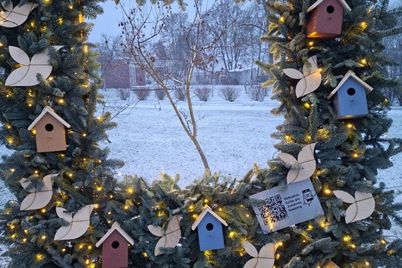 Jonavos baseino kalėdinės instaliacijos dekoracijos virto namais paukščiams