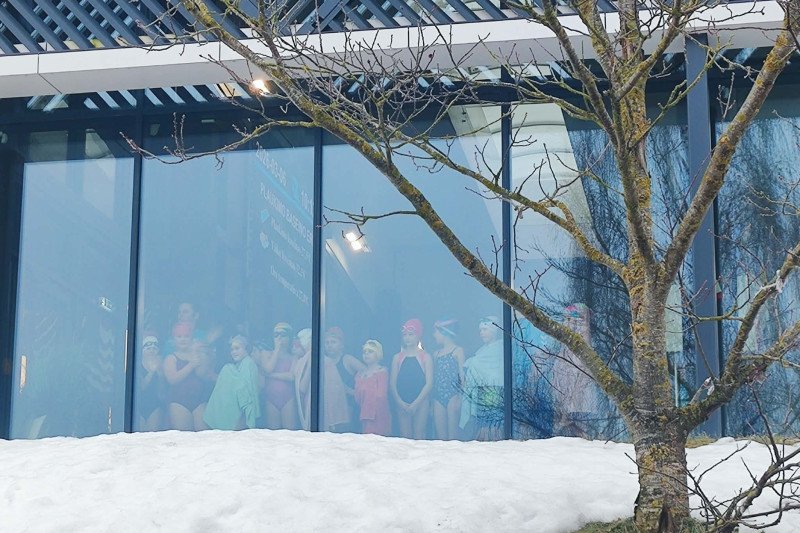 Jonavos baseino kalėdinės instaliacijos dekoracijos virto namais paukščiams