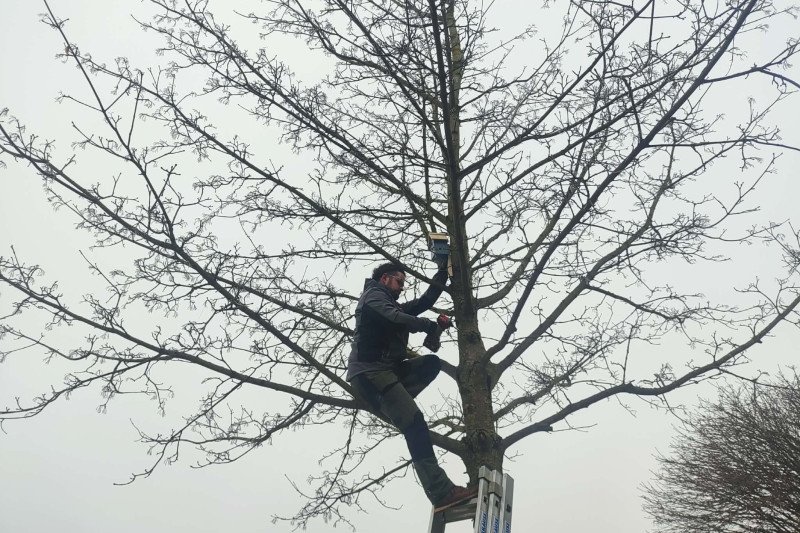 Jonavos baseino kalėdinės instaliacijos dekoracijos virto namais paukščiams