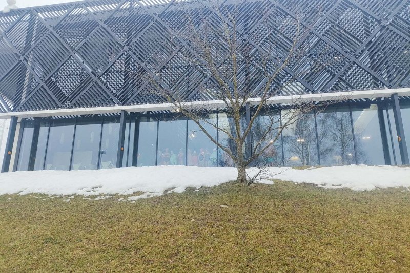 Jonavos baseino kalėdinės instaliacijos dekoracijos virto namais paukščiams