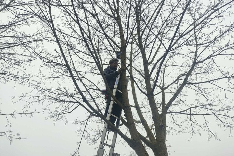 Jonavos baseino kalėdinės instaliacijos dekoracijos virto namais paukščiams