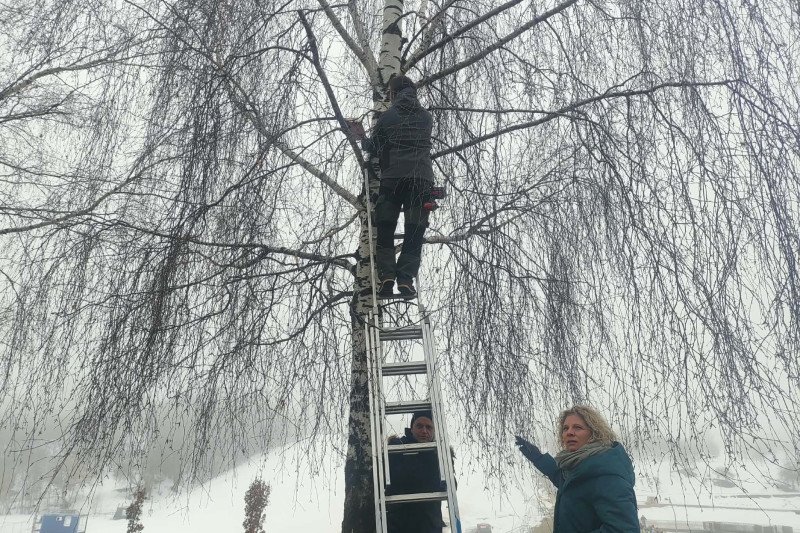 Jonavos baseino kalėdinės instaliacijos dekoracijos virto namais paukščiams